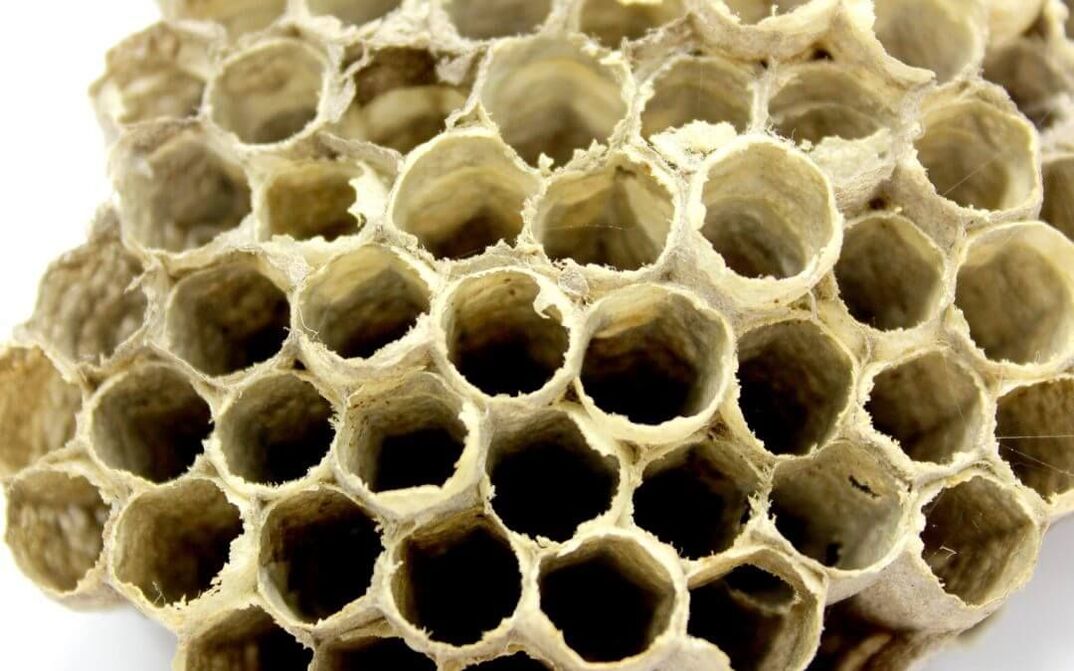 κόλλα μέλισσας για αύξηση της ισχύος